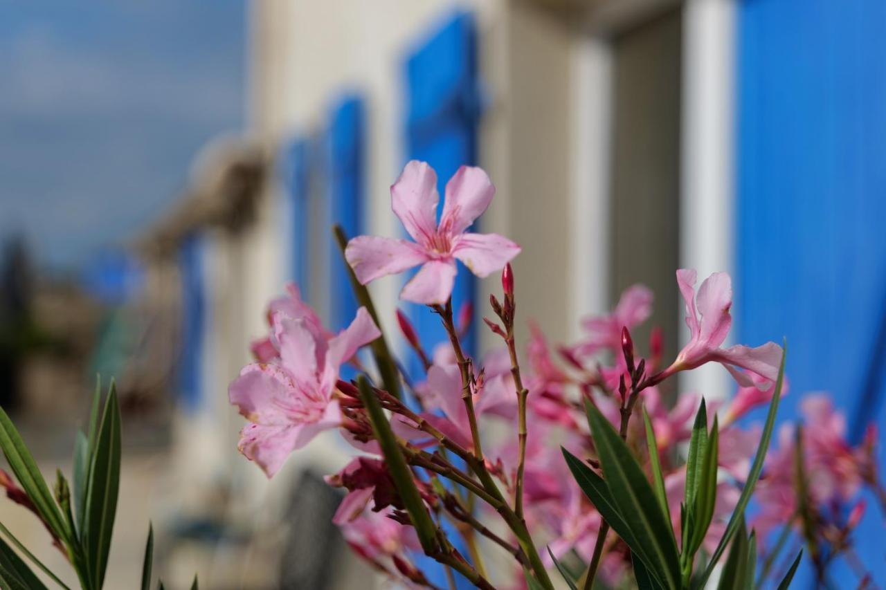 Saint-Just-Luzac Moulin De Mauzac Bed & Breakfast エクステリア 写真