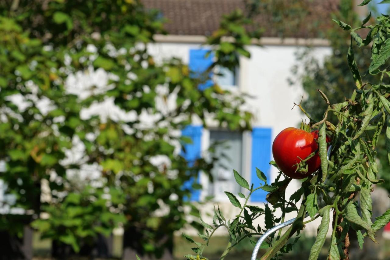 Saint-Just-Luzac Moulin De Mauzac Bed & Breakfast エクステリア 写真